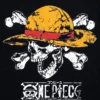 one piece (3)