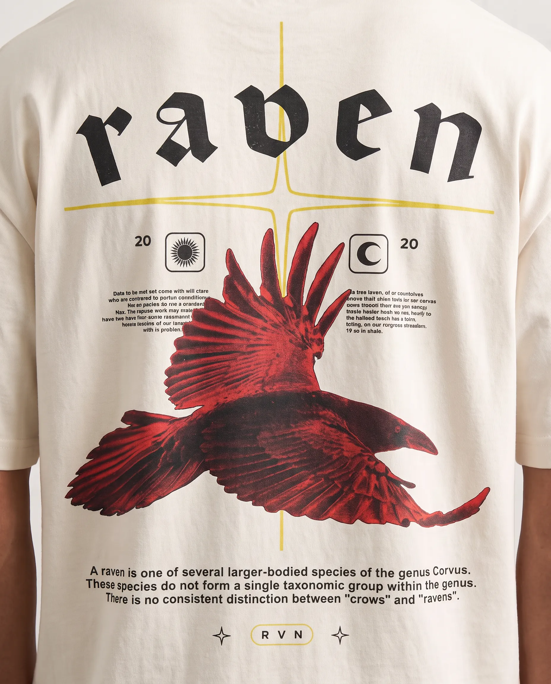 raven (2)